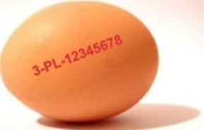 Ilustracja do pytania 27