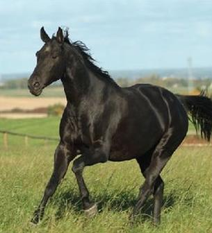 Ilustracja do pytania 26