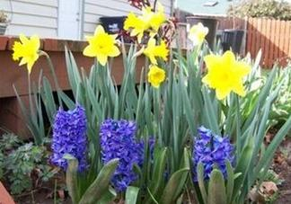 Ilustracja do pytania 3