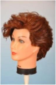 Ilustracja do pytania