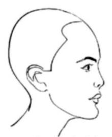 Ilustracja do pytania