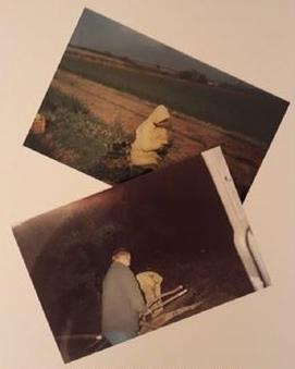 Ilustracja do pytania 23