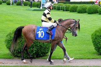 Ilustracja do pytania 31