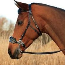 Ilustracja do pytania 25