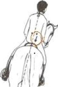 Ilustracja do pytania 1