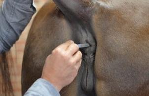 Ilustracja do pytania 35