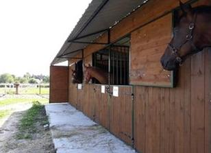 Ilustracja do pytania 38