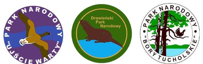 Ilustracja do pytania 9