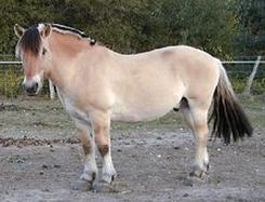 Ilustracja do pytania 14