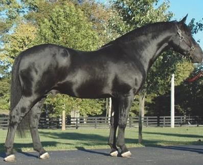 Ilustracja do pytania 36