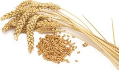 Ilustracja do pytania 24