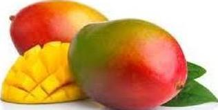 Ilustracja do pytania 15