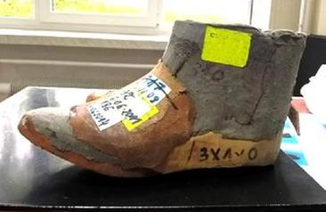 Ilustracja do pytania 32