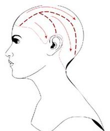 Ilustracja do pytania 10