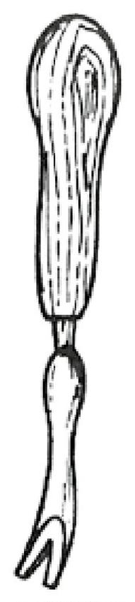 Ilustracja do pytania 37