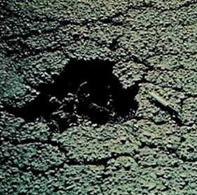 Ilustracja do pytania 30