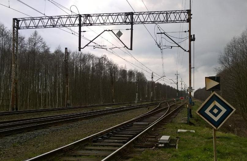 Ilustracja do pytania 4