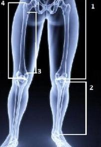 Ilustracja do pytania 20