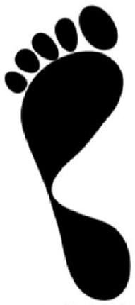 Ilustracja do pytania 36