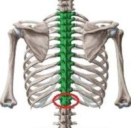 Ilustracja do pytania 5