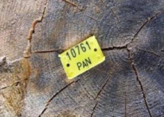 Ilustracja do pytania 24