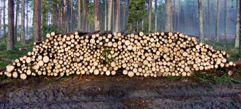 Ilustracja do pytania 37