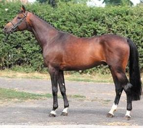 Ilustracja do pytania 14