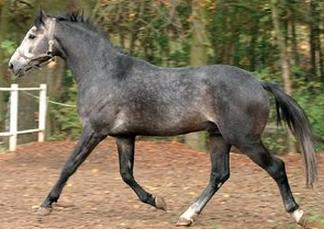 Ilustracja do pytania 30