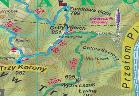 Ilustracja do pytania