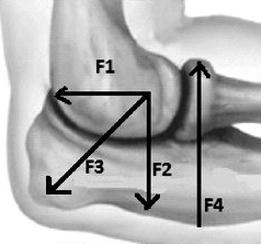 Ilustracja do pytania 11