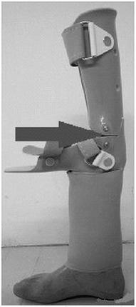 Ilustracja do pytania 22