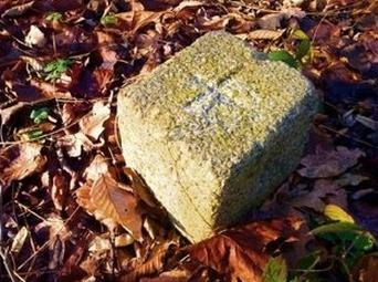 Ilustracja do pytania 27