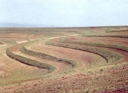 Ilustracja do pytania