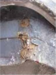 Ilustracja do pytania 27