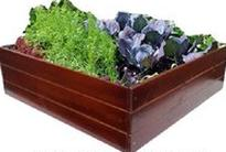 Ilustracja do pytania