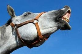 Ilustracja do pytania 40