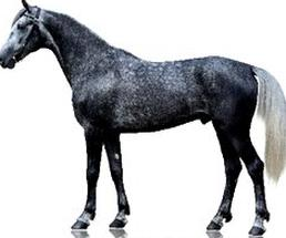 Ilustracja do pytania 6