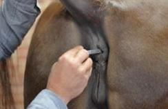 Ilustracja do pytania