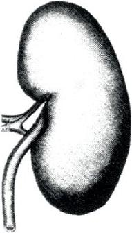 Ilustracja do pytania 29