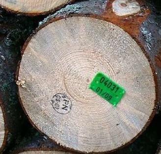 Ilustracja do pytania 25