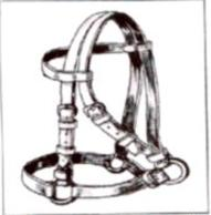 Ilustracja do pytania