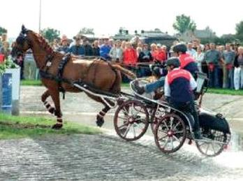 Ilustracja do pytania 19