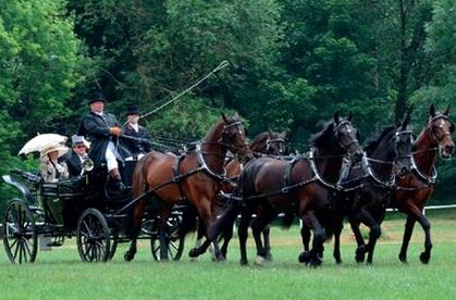 Ilustracja do pytania 37