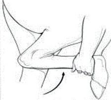 Ilustracja do pytania 36