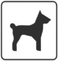 Ilustracja do pytania 30