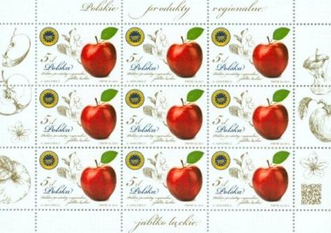 Ilustracja do pytania 8