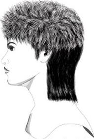 Ilustracja do pytania