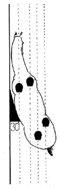 Ilustracja do pytania