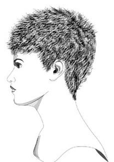 Ilustracja do pytania 32