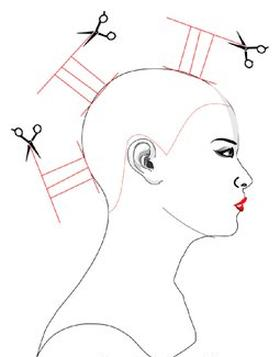 Ilustracja do pytania 15